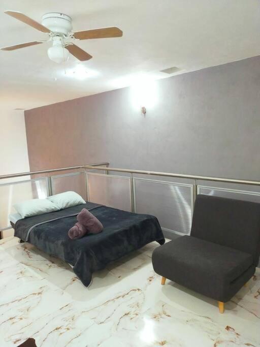 Loft Soliman - Netflix - Hbo - Near Market 28 - Downtown 칸쿤 외부 사진